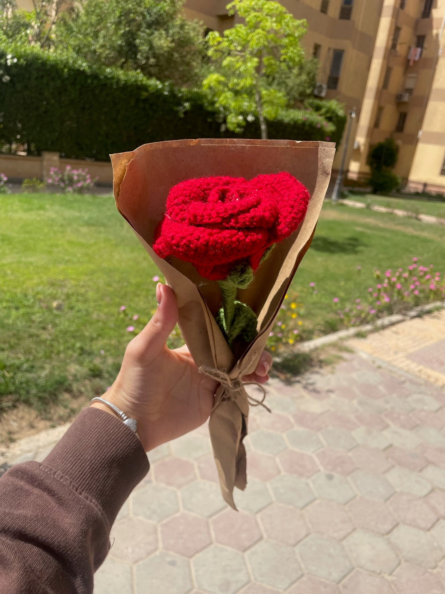 Red Rose