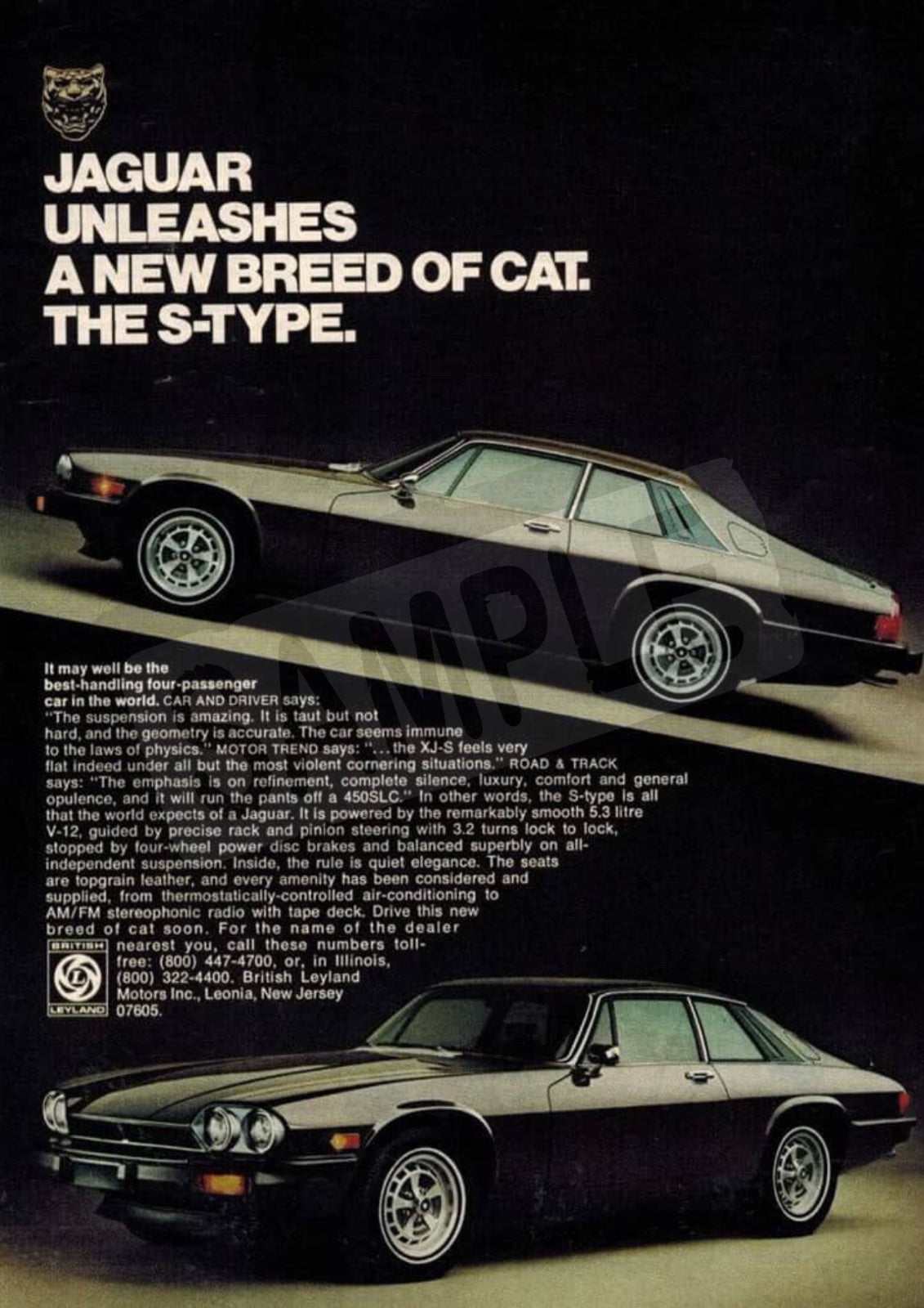 The Main Character Magazine