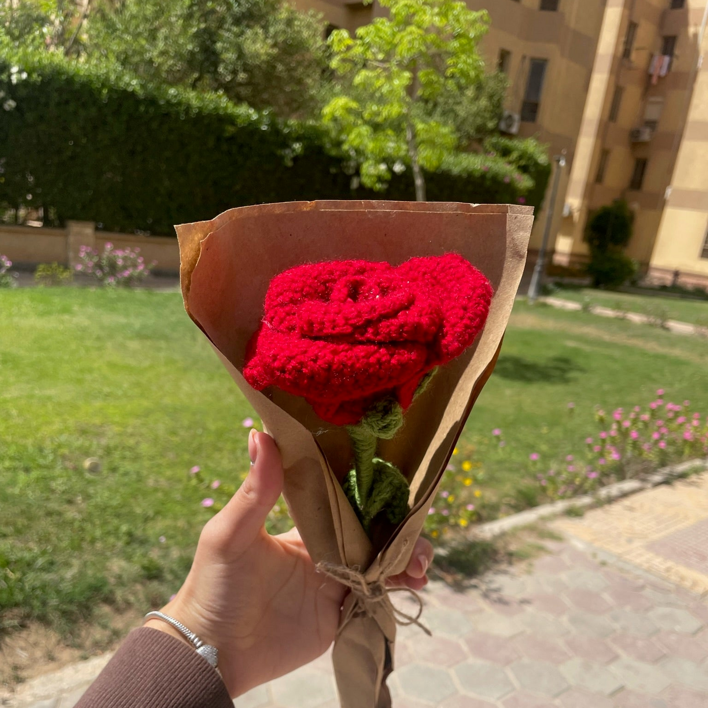 Red Rose